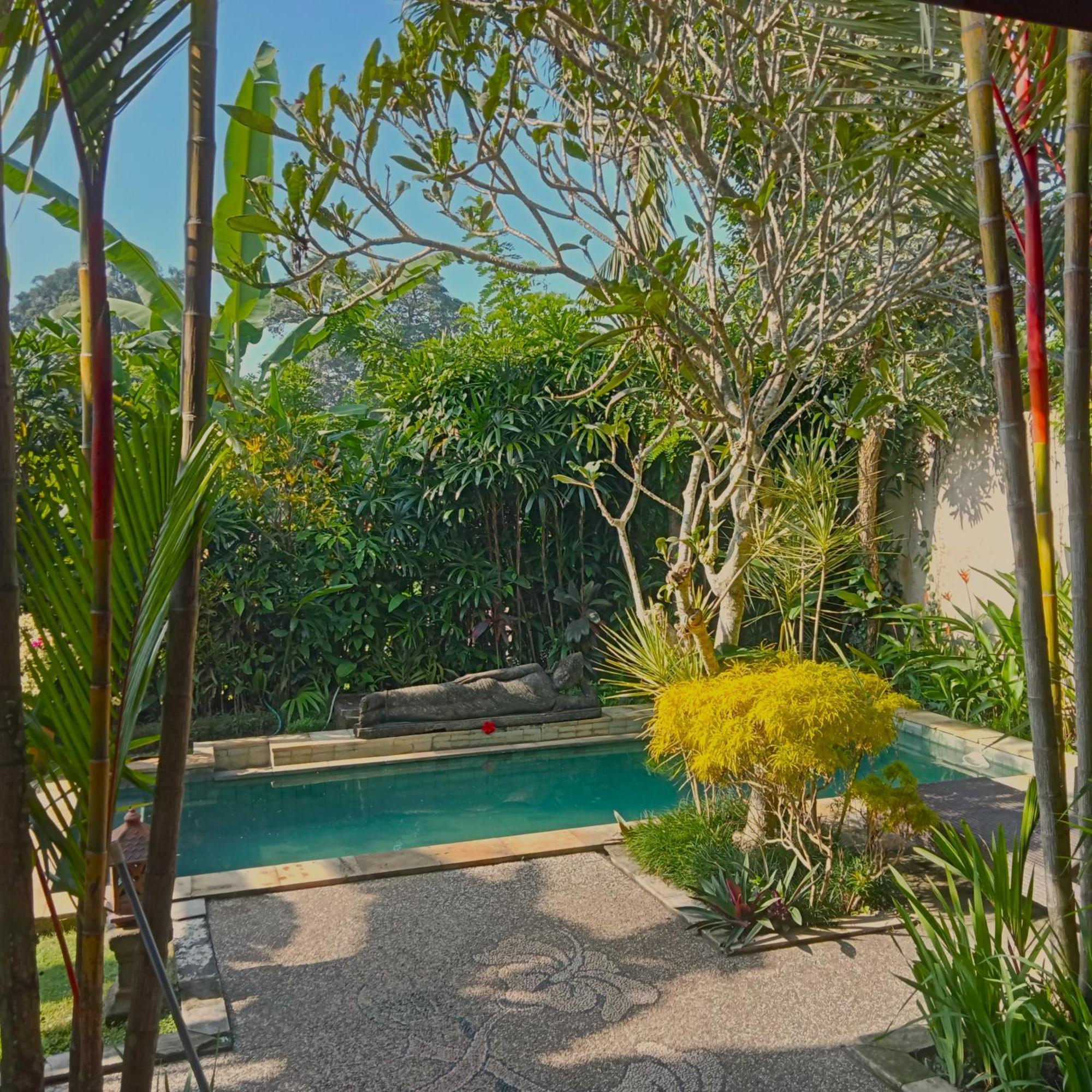 Lily Lane Villas Ubud Zewnętrze zdjęcie
