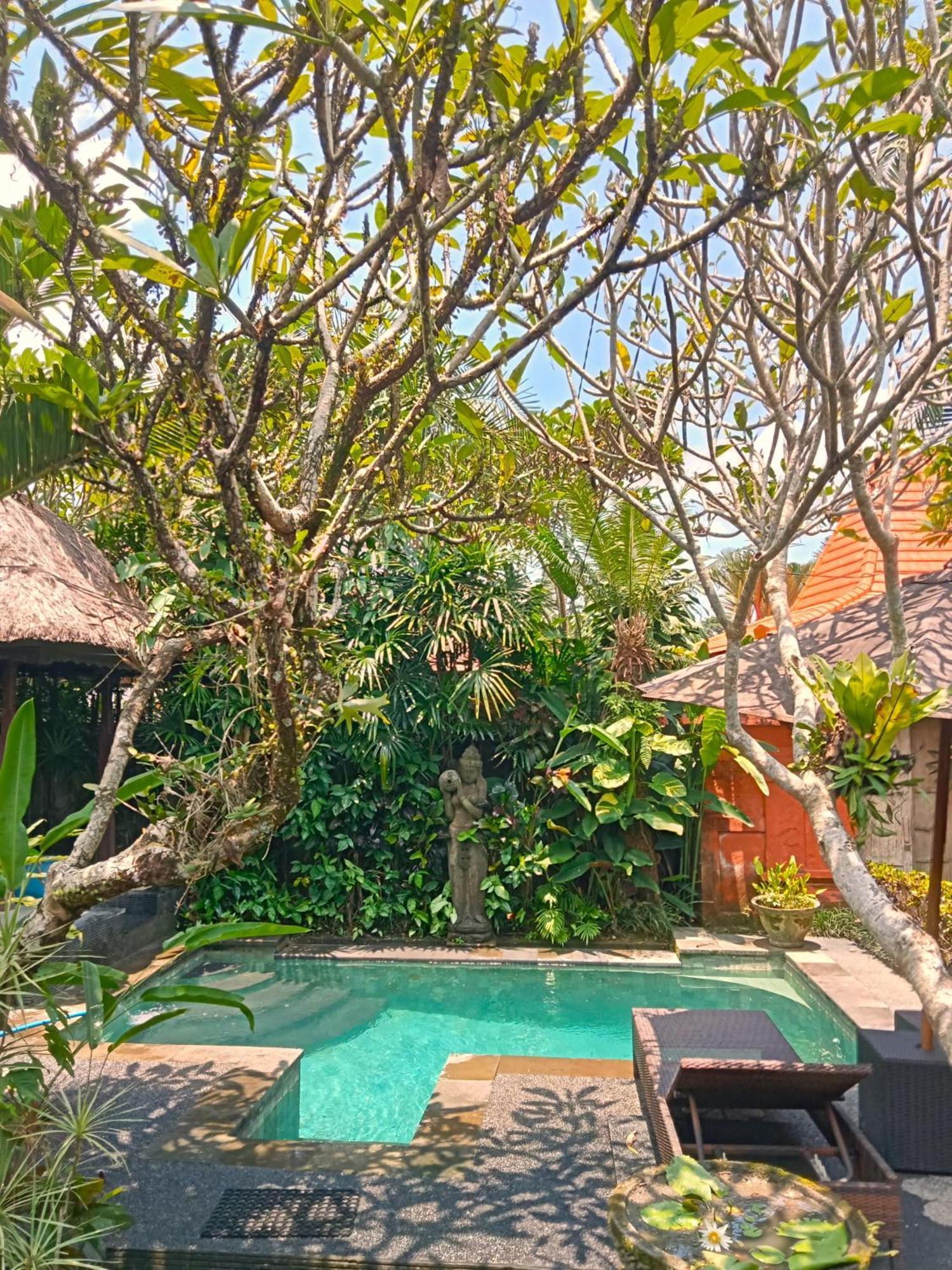 Lily Lane Villas Ubud Zewnętrze zdjęcie